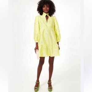 Tuckernuck Citron Fill Coupe Palmerston Dress (M)